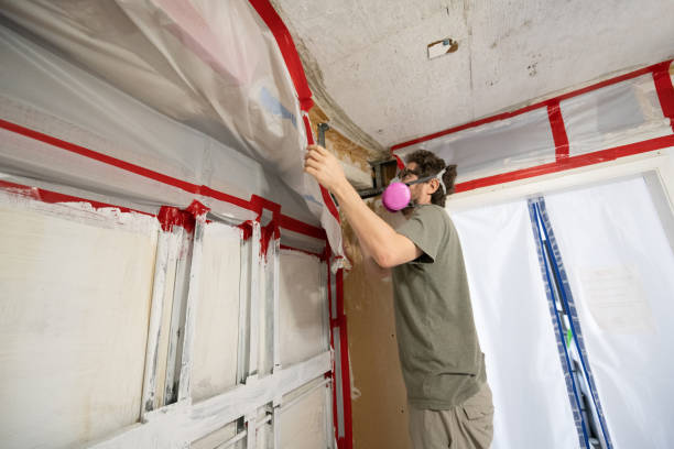 Best Forensic Mold Investigation  in Hayfield, MN