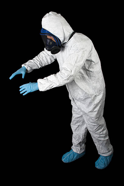 Best Water Damage & Mold Remediation  in Hayfield, MN