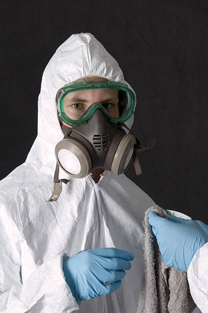 Best Mold Remediation for Healthcare Facilities  in Hayfield, MN